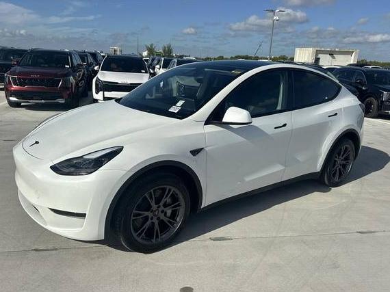 TESLA MODEL Y 2024 7SAYGDEDXRF131245 image